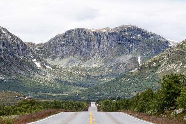 A road through the wilderness